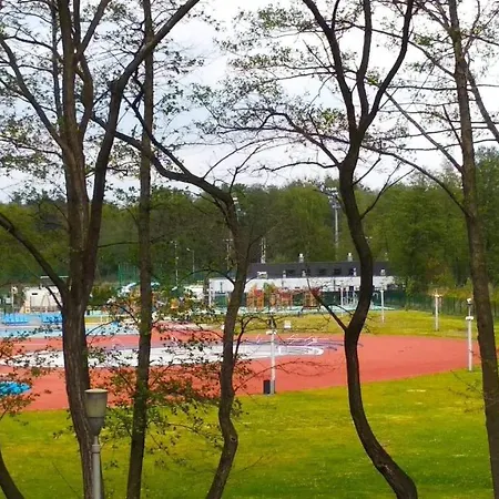 Arena Rybnik (Silesia)